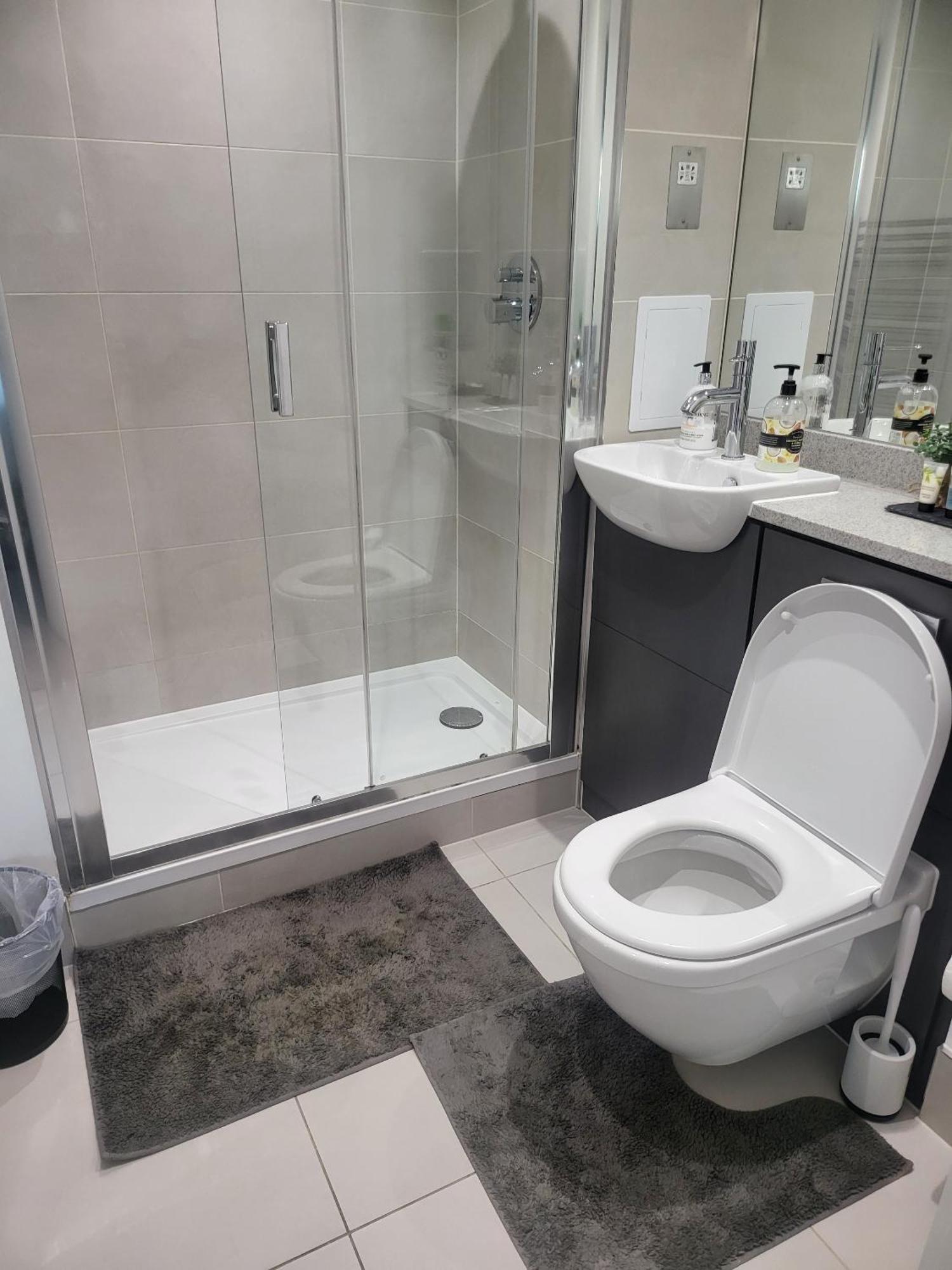 Kayz Lodge- Luxury Ensuite-Private & Shared Accommodation In A New House At The Olympic Village Overlooking Stratford Westfield And Tube Station ロンドン 部屋 写真